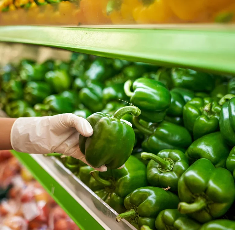 Crops and Vegetable Suitable for Witbank (Mpumalanga) has a moderate climate warm summers (up to 30’c) and cool winter (Down to 5’c) with summer rainfall. The climate support both summer and winter crops.
